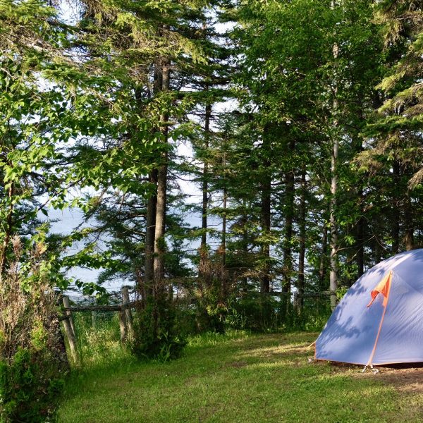 Camping Chalets La Luciole