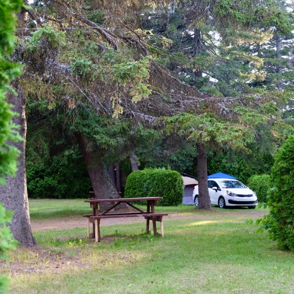 Camping Chalets La Luciole