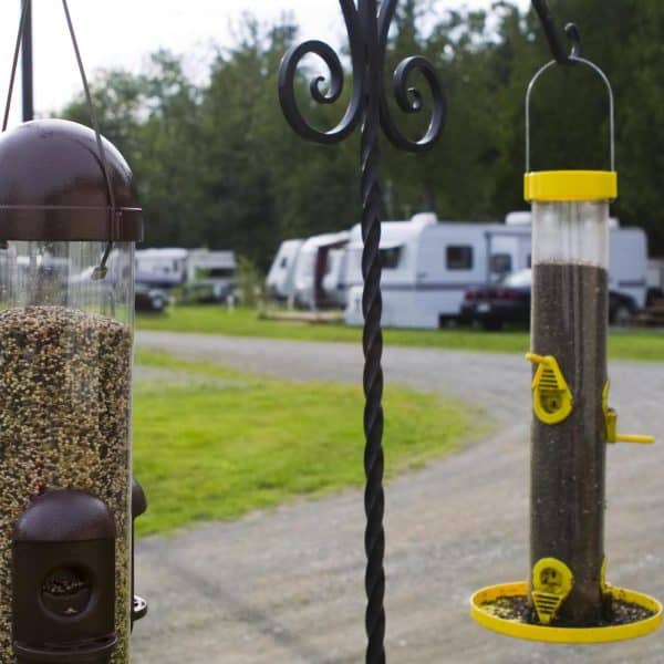 Camping Plage Municipale Dégelis
