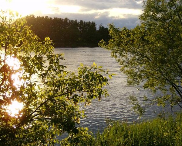 Camping Des Voltigeurs