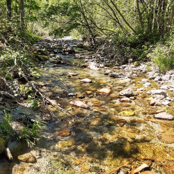 Camping Rêves Nature