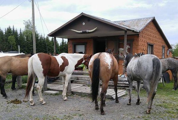 Camping Le Chevalier