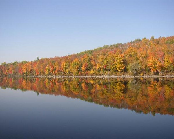 Camping Parc National De Frontenac Baie Sauvage