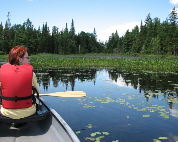 Camping Parc National De Frontenac Baie Sauvage