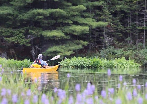 Camping Parc National De Frontenac, Secteur Saint-daniel