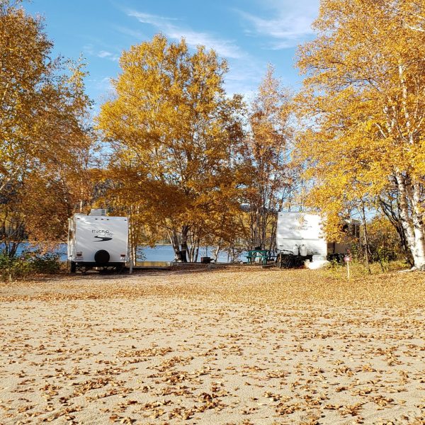 Camping Manic 2