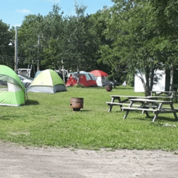 Camping Parc De La Rive