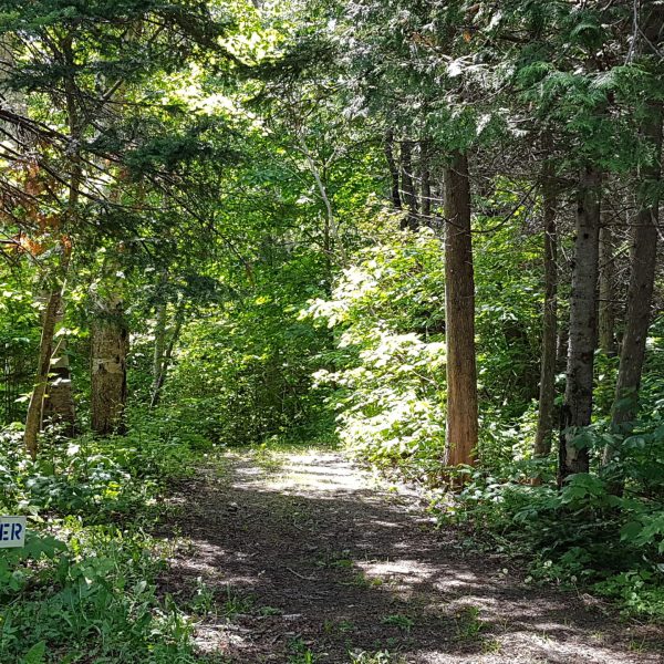 Camping Municipal Mont-Saint-Pierre