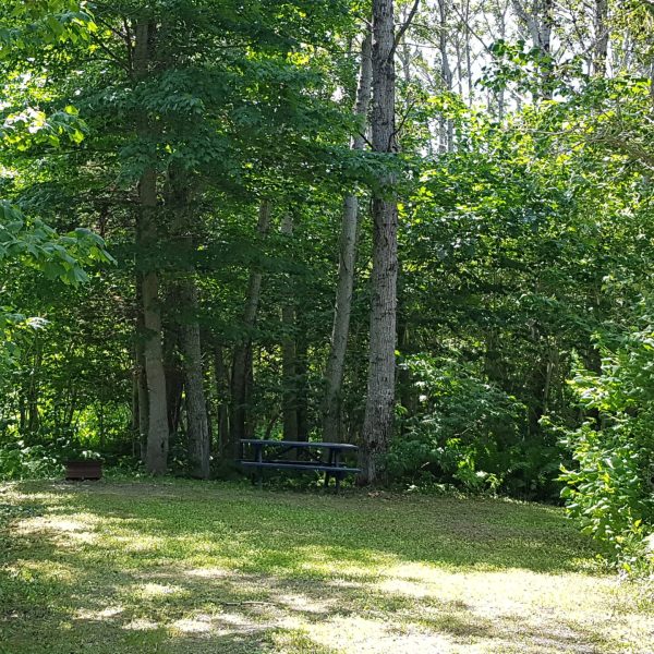 Camping Municipal Mont-Saint-Pierre