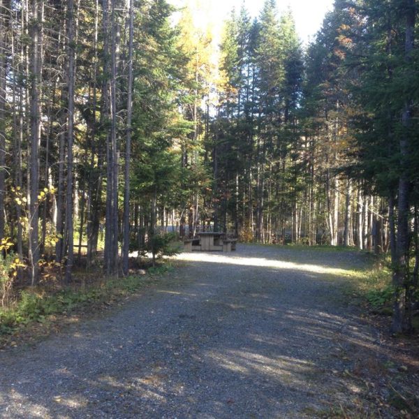 Parc National De La Gaspésie - Camping De La Rivière