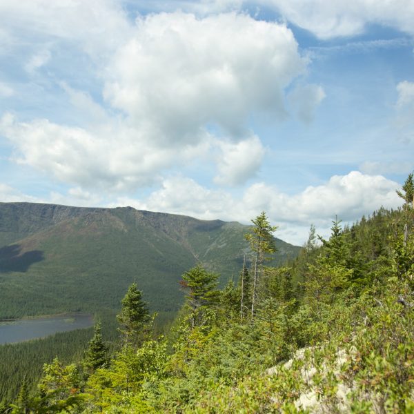 Parc National De La Gaspésie - Camping De La Rivière
