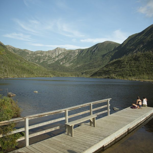Parc National De La Gaspésie - Camping De La Rivière