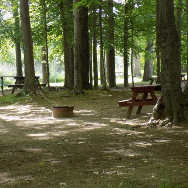 Camping Alouette - Parkbridge