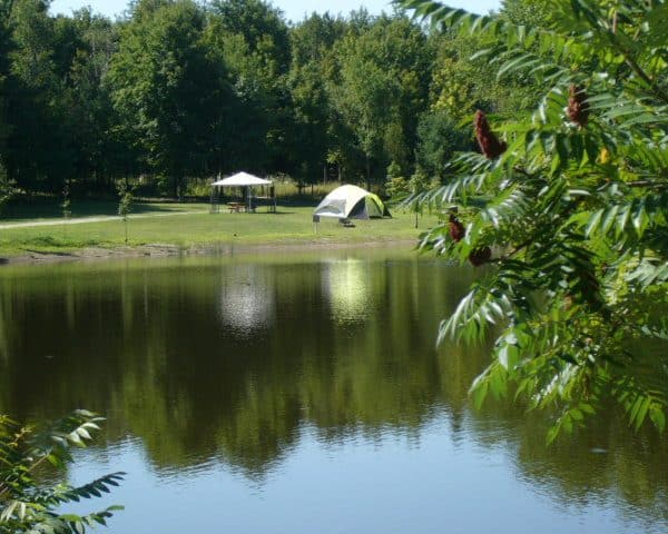 Camping Le Dauphinais