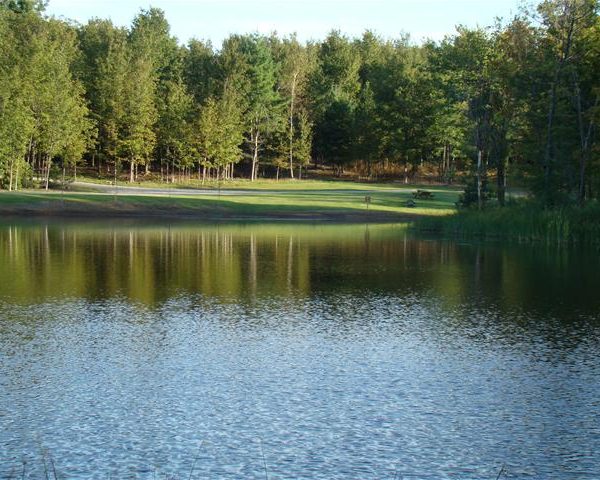 Camping Le Dauphinais