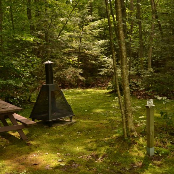 Camping Le Québécois