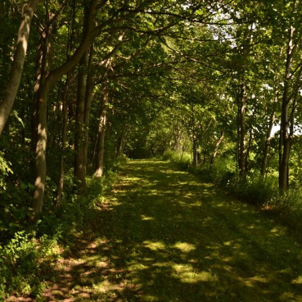 Camping Le Québécois